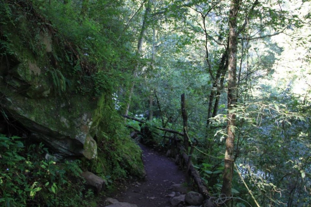 Senderismo por el bosque